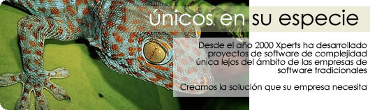 Xperts Banner